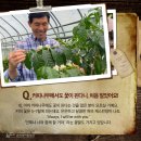 커피나무`S