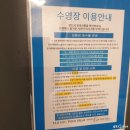 플로키즈풀빌라 | 가평 플로 키즈 풀빌라 캔디 룸 이용 후기