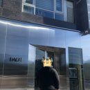 (주)다올 | [예물] 대전 다올주얼리하우스(DAOL) 계약 및 솔직 후기