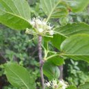 지리산친구들 이미지