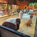 UR(파주시)-[소리천로]-하-6 | 🦄 파주 가볼만한 곳! 실내 동물원 먹이체험 가능한 곳! 테이블에이 후기 (아이와 함께)