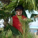 무안 톱 관광펜션 이미지