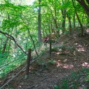 제104차 소똥령 숲길 트레킹&보라빛라벤더 향기 라벤더팜-산행안내 이미지