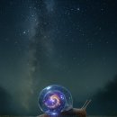 아무 기대 없이 봤는데 그냥 정주행했다 시간 순삭이네 #파인촌뜨기들 이미지