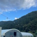 선운하늘채펜션 이미지