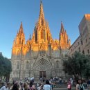 할렘가뽑기 | 스페인) 바르셀로나 Barcelona 여행 1