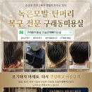 오늘은 머리하는 날 - 포항시 남구 | 구래동미용실 녹은모발 탄머리 복구 잘하는 곳, 오늘은예뻐지는날 보브컷 복구 후기