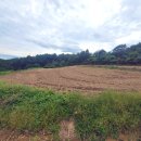 양지-2814 이미지