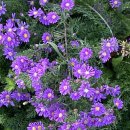 구산면614 이미지