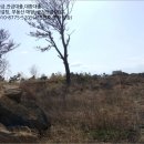 상모리-11 이미지