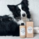 샴푸하는강아지 | 자극적이지 않은 약용 천연샴푸, 디고 올인원 강아지샴푸 후기