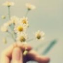 와인앤다인 이미지