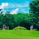 조선왕릉 태릉 - 조선 제11대 임금 중종의 왕비 문정왕후 윤씨의 능