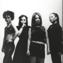 버블 시스터즈 카카오 검색결과