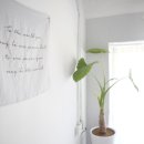 좋은날펜션 이미지