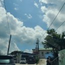 사철박경순 냉면 이미지