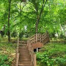 서림에너지 이미지