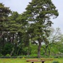고잔동 624~고잔동 624 황금공원 | [내돈내산후기] 경주 국립공원 근처 한옥카페 &#39;배리카페&#39;