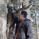 은나라약국 이미지