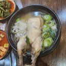 사시사철 흑염소.오리 이미지