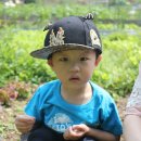 은준농장 이미지