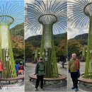 강천산 길 이미지