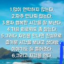 소확행 Daum카페