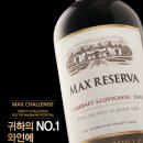 맥스 이미지