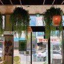 브레이크타임 | 순천 나나방콕 브레이크타임 없는 태국음식 맛집 자세한 후기