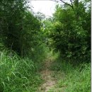 외씨버선길(조지훈문학길) 이미지