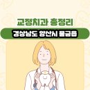 채우미치과의원 | 경상남도 양산시 물금읍 교정치과 총정리