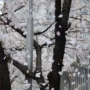 중앙동7 이미지