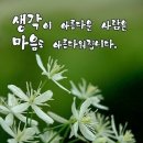 까치 낚시터 Daum카페