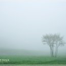 돌풍목장 이미지