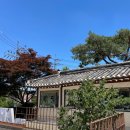 카페자하 | [서울/종로] 부암동 감성 제대로 느끼고 싶다면 꼭 한 번 가봐야 할 "디저트카페, 자하1993" 다녀온 후기