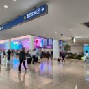 국제카종합서비스 | 인천공항 외국인 렌터카, 국제운전면허증(IDP) 꼭 필요할까? IAA,B종,카니발 9인승등 보험 총정리