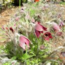 보성농원 이미지