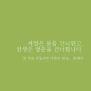 토성오리 이미지