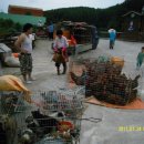 좌천시장 이미지