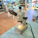무지개농약사