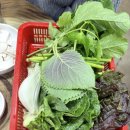 칠우대패삼겹살 (하남점) | 광주 송정동 송정역 근처 맛집 '칠우 대패삼겹살' 가성비 고기집 [솔직후기]