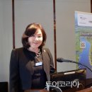 산천초목 이미지