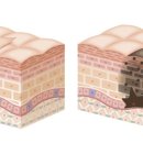 마인미의원 이미지