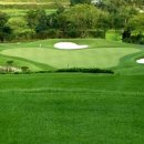 임페리얼CC(대중제) 이미지