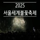우리집 명당으로 꾸미기 | 2025 여의도 서울세계불꽃축제 준비물 노량진명당 시야후기