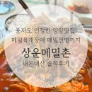(주)바로상운 | 😚 풍자도 인정한 양양맛집! 메밀육개장에 메밀전병, 비빔냉면까지 상운메밀촌 내돈내산 솔직후기