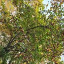 향기네무료급식소 이미지