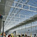 보성농장 | [보성] 베리굿농장 딸기 체험 후기