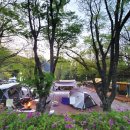 다리안관광지 이미지