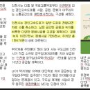 에코이뷰 이미지